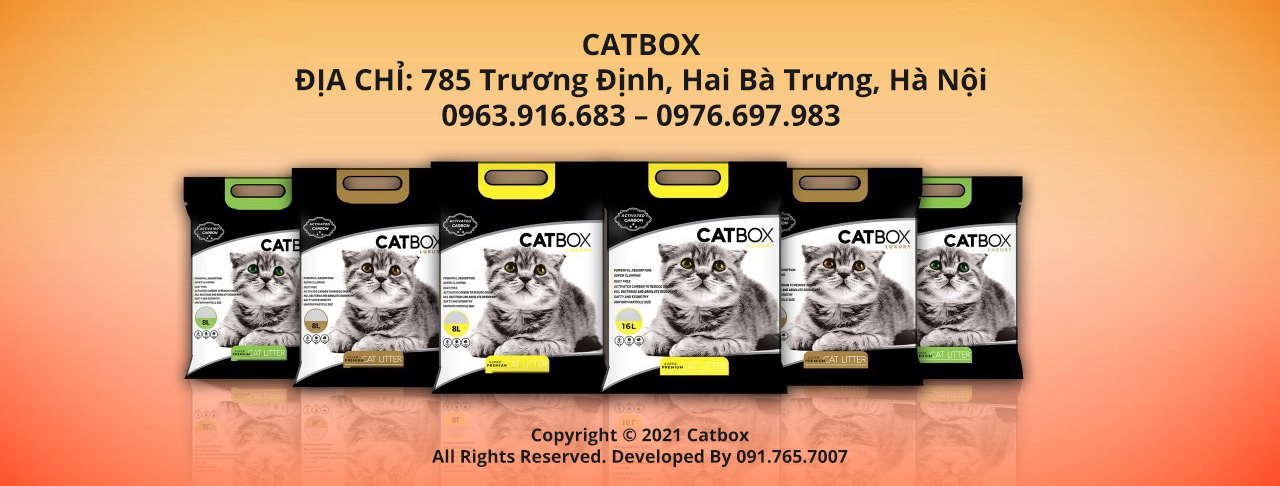 Cát mèo Catbox 8L