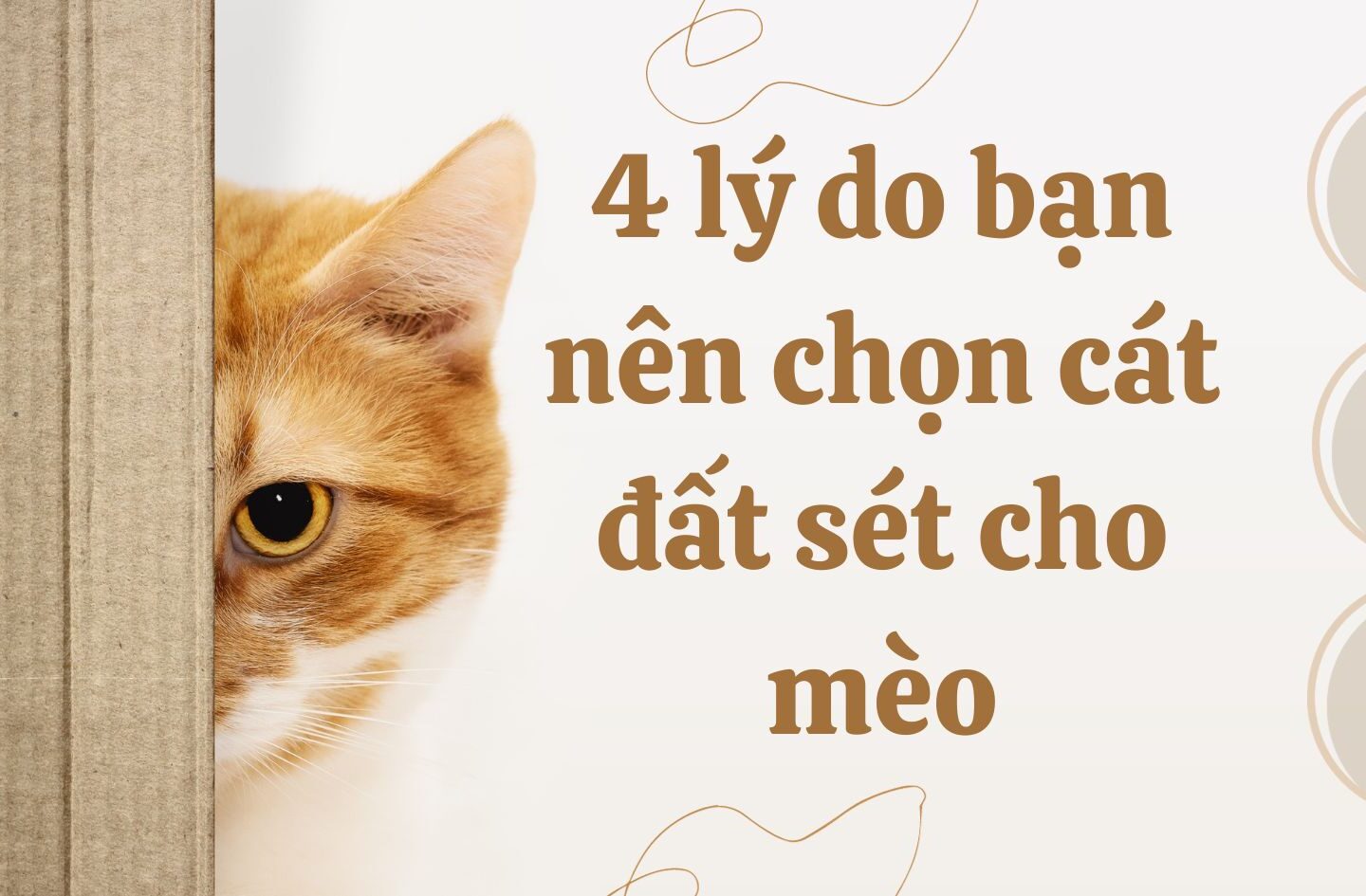 cát đất sét cho mèo