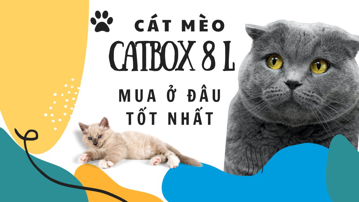 Cát mèo catbox 8l