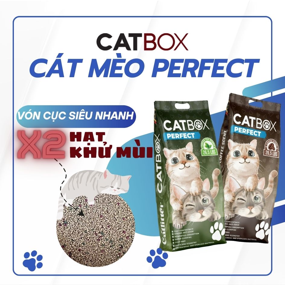 Cát Vệ Sinh Mèo Hương Cà Phê 26L