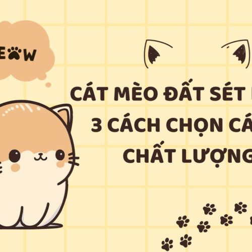 Cát mèo đất sét là gì? 3 cách chọn cát mèo chất lượng nhất