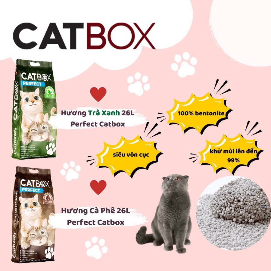 Cát Vệ Sinh Mèo Hương Cà Phê 26L Perfect Catbox